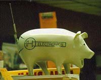 Pig Peg